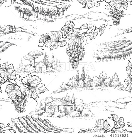 Seamless Pattern with Grapes and Rural Scene Seamless Pattern with Grapes and Rural Scene 45518621