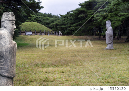 陵 酸素 墓 45520120