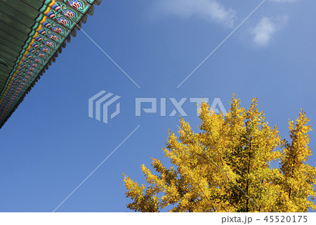 秋 故宮 景福宮 45520175