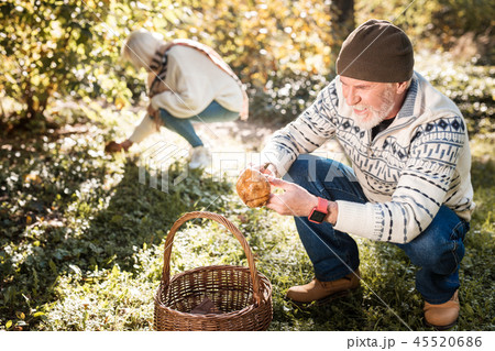 Positive nice man putting a mushroom in the basket 45520686