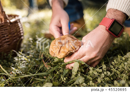 Close up of a big mushroom being found 45520695