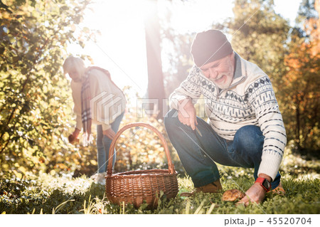 Cheerful nice man looking into the grass 45520704