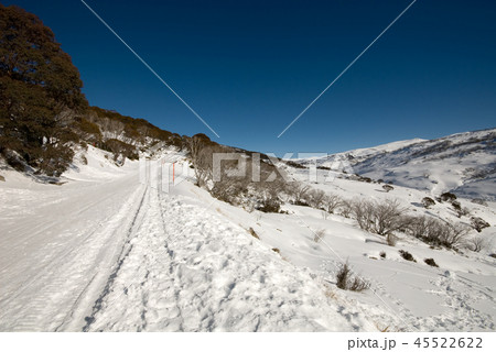 Winter Scene 45522622