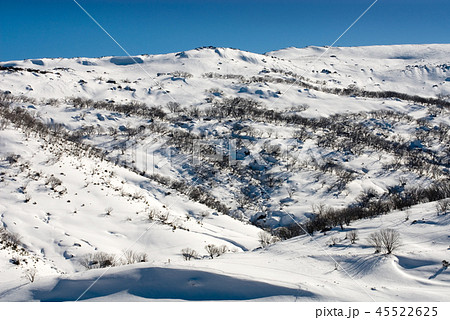 Winter Scene Winter Scene 45522625