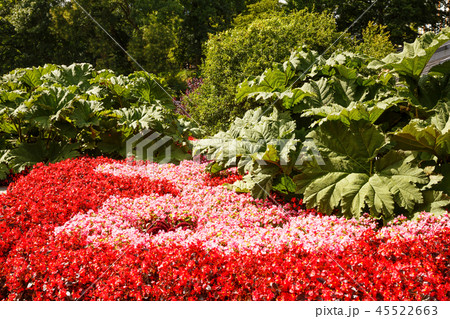 Park in Hamburg 45522663
