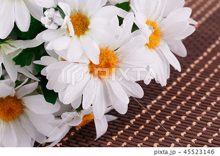 Daisies 45523146