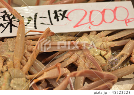 市場に並ぶ松葉ガニの雄 活け蟹 市場に並ぶ松葉ガニの雄 活け蟹 45523223