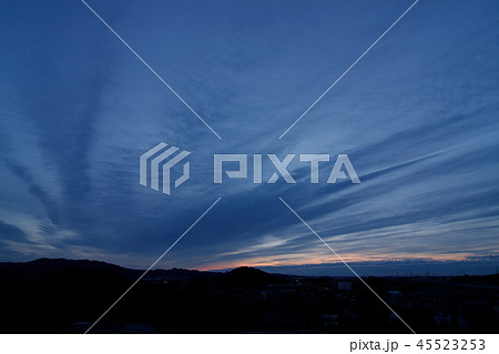 北部運動公園朝 45523253