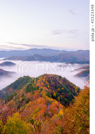 おにゅう峠　紅葉　早朝　大雲海 45523349