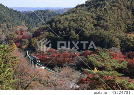 秋の矢祭山から見下ろす水郡線 45524781