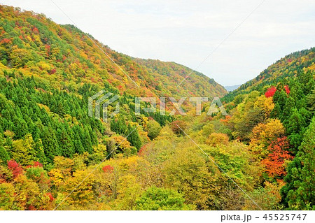 南昌トンネルをぬければ紅葉の名所 45525747