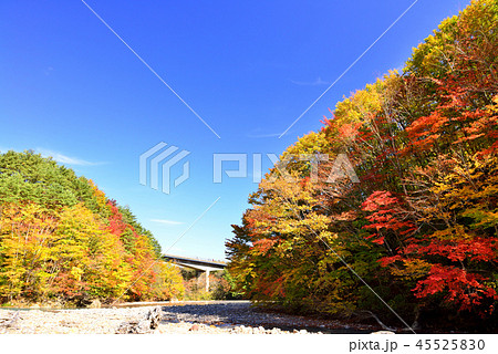 八幡平の紅葉 45525830