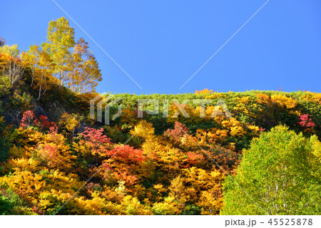 八幡平の紅葉 八幡平の紅葉 45525878