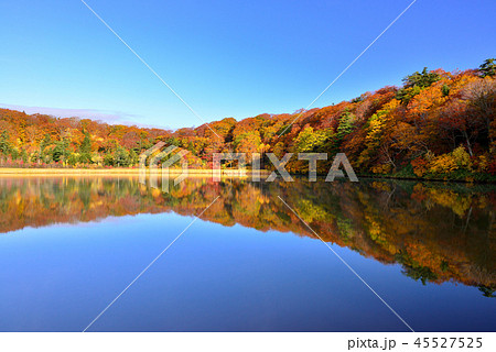 八幡平の紅葉 45527525