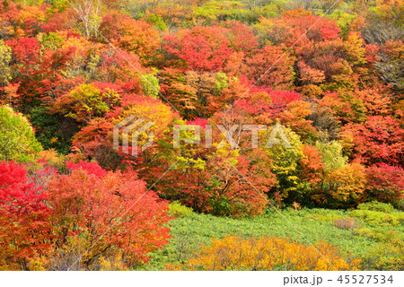 八幡平の紅葉 八幡平の紅葉 45527534