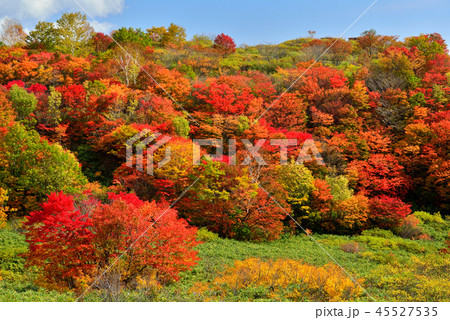 八幡平の紅葉 八幡平の紅葉 45527535