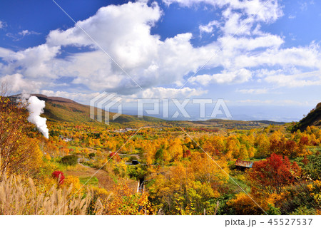 八幡平の紅葉 45527537