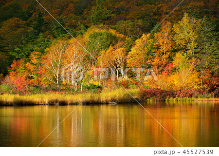 八幡平の紅葉 八幡平の紅葉 45527539