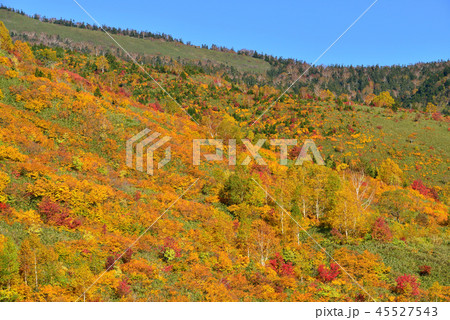 八幡平の紅葉 八幡平の紅葉 45527543