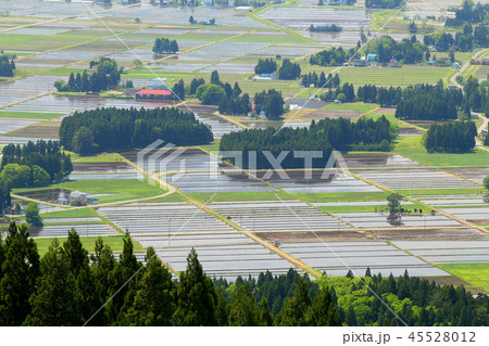 春の里山 田園の春 春の里山 田園の春 45528012