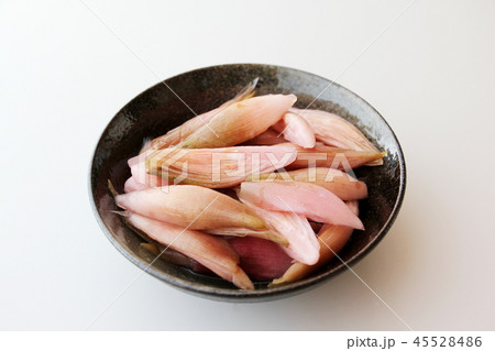 ミョウガの甘酢漬け 45528486