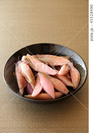 ミョウガの甘酢漬け 45528490