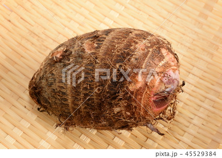 赤芽芋・里芋 赤芽芋・里芋 45529384