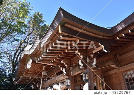 大磯町 六所神社 大磯町 六所神社 45529767