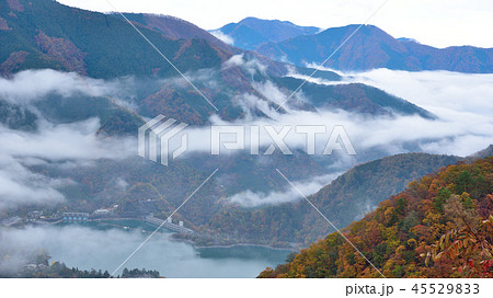 ＜奥多摩＞　紅葉の月夜見第一駐車場からの雲海眺望（奥多摩周遊道路）（アスペクト比16：9） 45529833