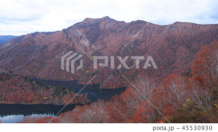 晩秋の六十里越峠 晩秋の六十里越峠 45530930