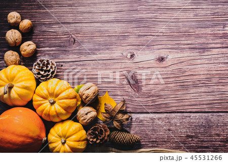 Happy Thanksgiving Day with pumpkin and nut 45531266
