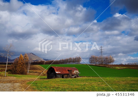 牧場の秋景色(北海道 上士幌町) 牧場の秋景色(北海道 上士幌町) 45531346
