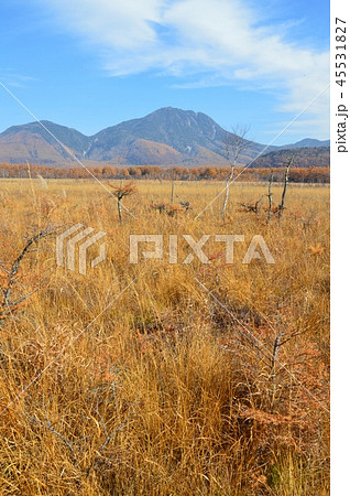 日光･戦場ヶ原（栃木県日光市） 45531827