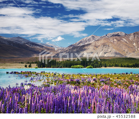 Lake Tekapo, New Zealand Lake Tekapo, New Zealand 45532588