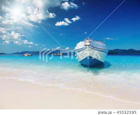 Tropical beach 45532595