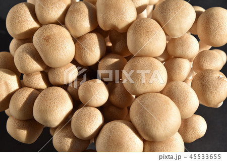 キノコ（ぶなしめじ） 45533655