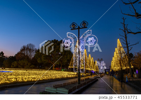 岐阜県　木曽三川公園の夜景　冬のイルミネーション 45533771