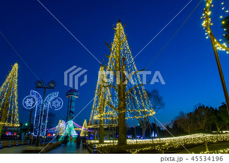 岐阜県　木曽三川公園の夜景　冬のイルミネーション 45534196