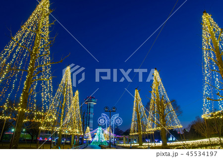 岐阜県　木曽三川公園の夜景　冬のイルミネーション 45534197
