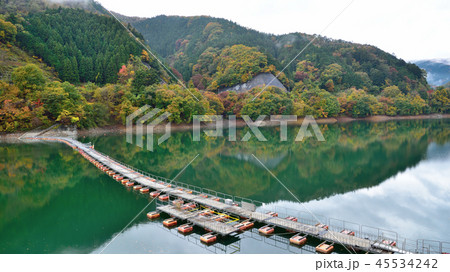 <奥多摩湖> 紅葉の麦山浮橋(ドラム缶橋) (アスペクト比16:9) 東京都西多摩郡奥多摩町 <奥多摩湖> 紅葉の麦山浮橋(ドラム缶橋) (アスペクト比16:9) 東京都西多摩郡奥多摩町 45534242