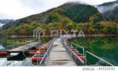 ＜奥多摩湖＞　紅葉の麦山浮橋（ドラム缶橋）　（アスペクト比16：9）　東京都西多摩郡奥多摩町 45534245