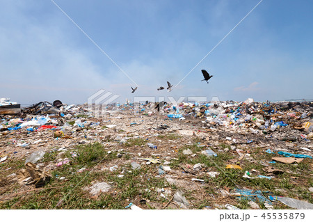 Dump on tropical island 45535879