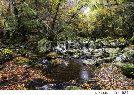 風景 風景 45536241