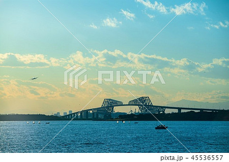 東京湾　都市風景　舞浜より撮影 45536557