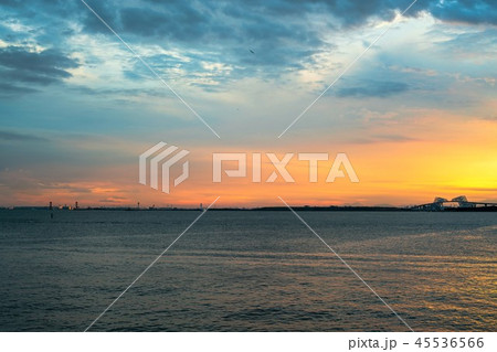 東京湾　都市風景　舞浜より撮影 45536566