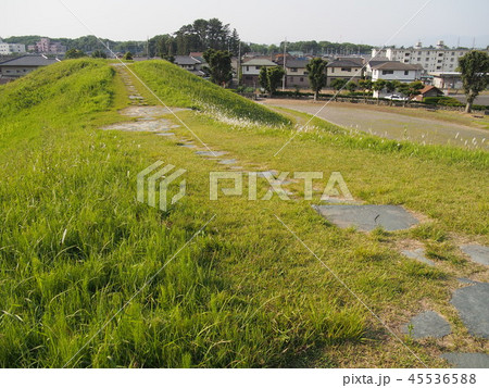 観音山古墳 観音山古墳 45536588