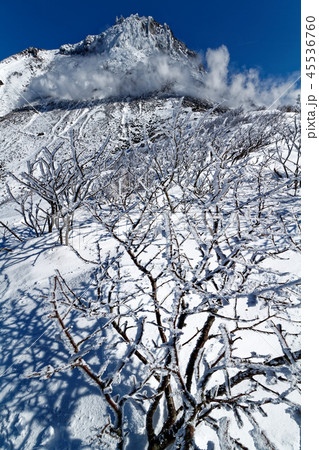 那須・日の出平の樹氷と噴煙上がる茶臼岳 那須・日の出平の樹氷と噴煙上がる茶臼岳 45536760