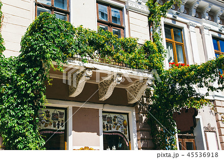 balcony with ivy balcony with ivy 45536918