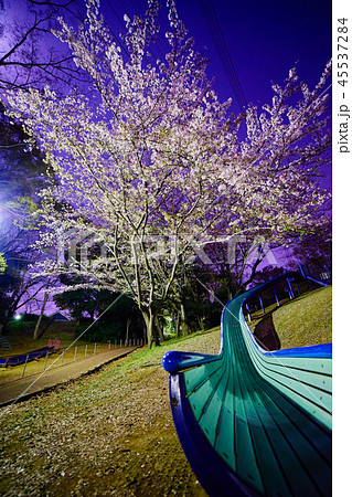 横浜市都筑区東方公園の夜桜_No5の写真素材 [45537284] - PIXTA
