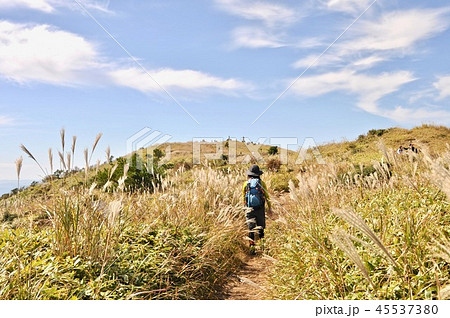 ハイキング 45537380